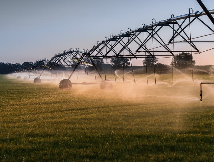 Agriculture