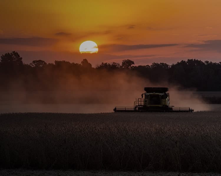 Agriculture